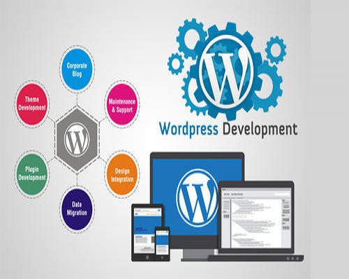 I Will develop a professional wordpress website with a responsive design