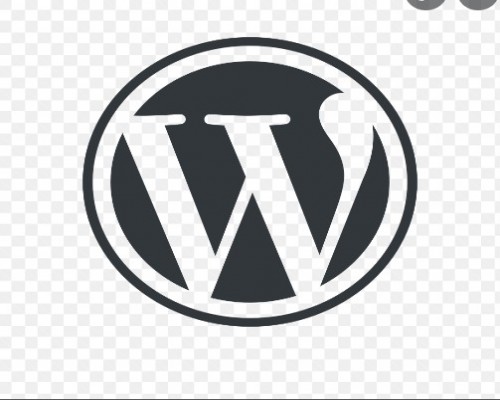Need a WordPress developer 